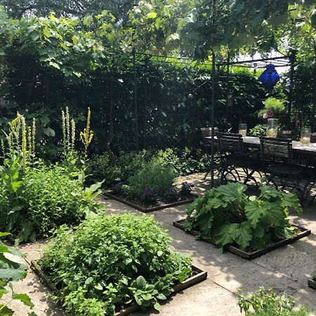 Good4Yew Bnb Цюрих Екстериор снимка