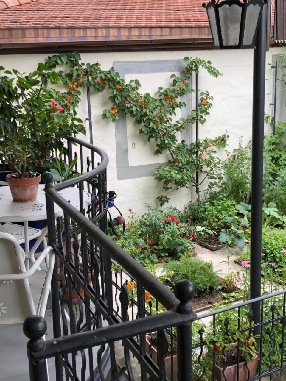 Good4Yew Bnb Цюрих Екстериор снимка
